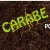Illustration du profil de CARABE