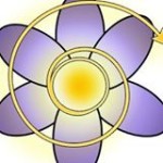 Illustration du profil de Crocus