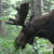 Illustration du profil de lululalibellule