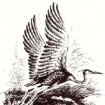 Illustration du profil de Lyra